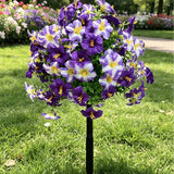 Morning Glory Purple